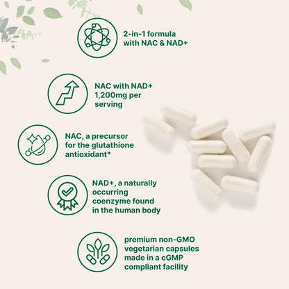 Micro Ingredients NAC with NAD+, 240 Vegetarian Capsules | 1,200 mg Per Serving | 2-in-1 N-Acetyl-L-Cysteine with Nicotinamide Adenine Dinucleotide Micro Ingredients