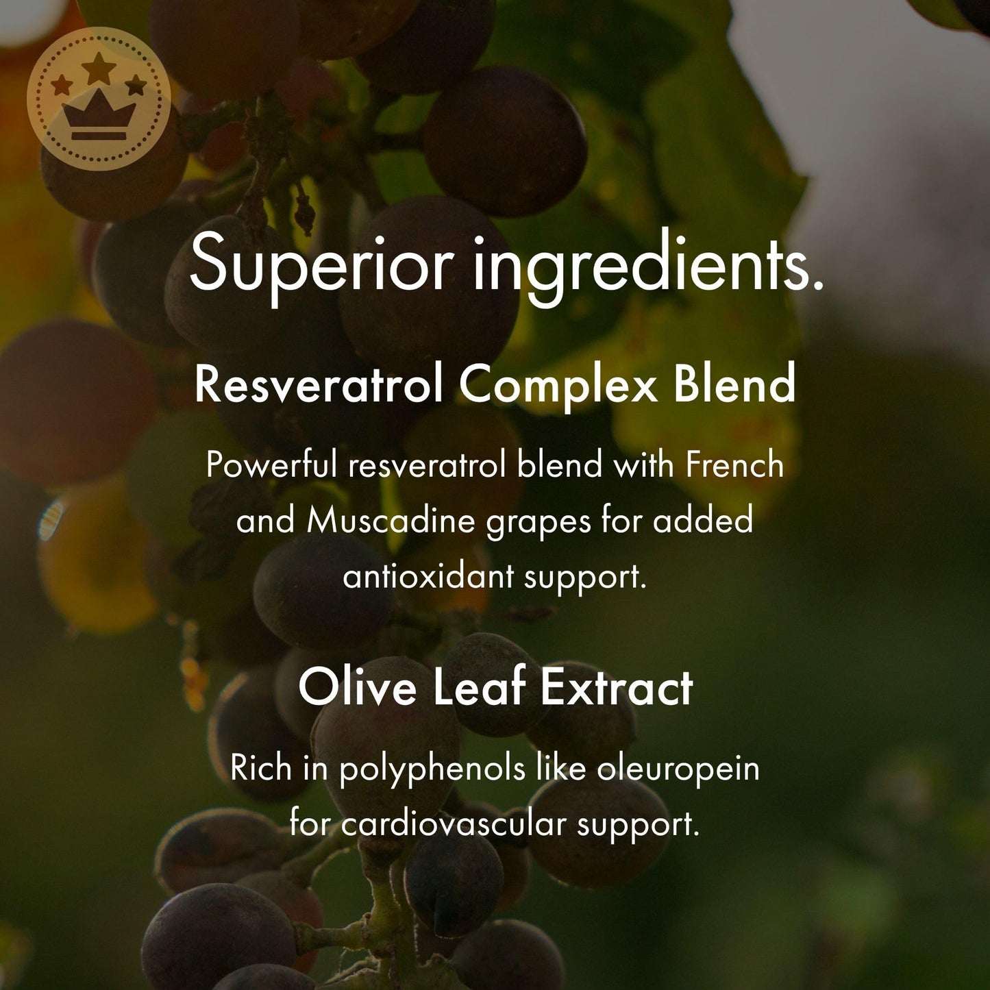 NAOMI Italian Citrus Bergamot 500mg + Resveratrol, Award-Winning Cardiologist Dvlpd, Supports Normal Cholesterol & Healthy Cellular Function, 7 Key Polyphenols NAOMI