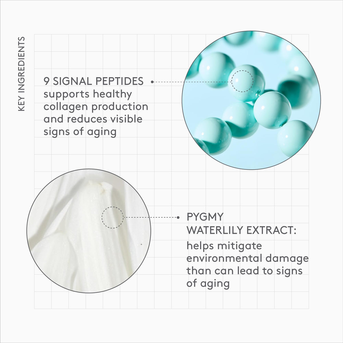 Drunk Elephant Protini Polypeptide Cream - 50 ml/1.69 fl oz - Firming Moisturizer - Clean Clinical Skincare - Cruelty-Free - Dermatologist-Tested - Free of Essential Oils, Silicones, and Fragrance Drunk Elephant