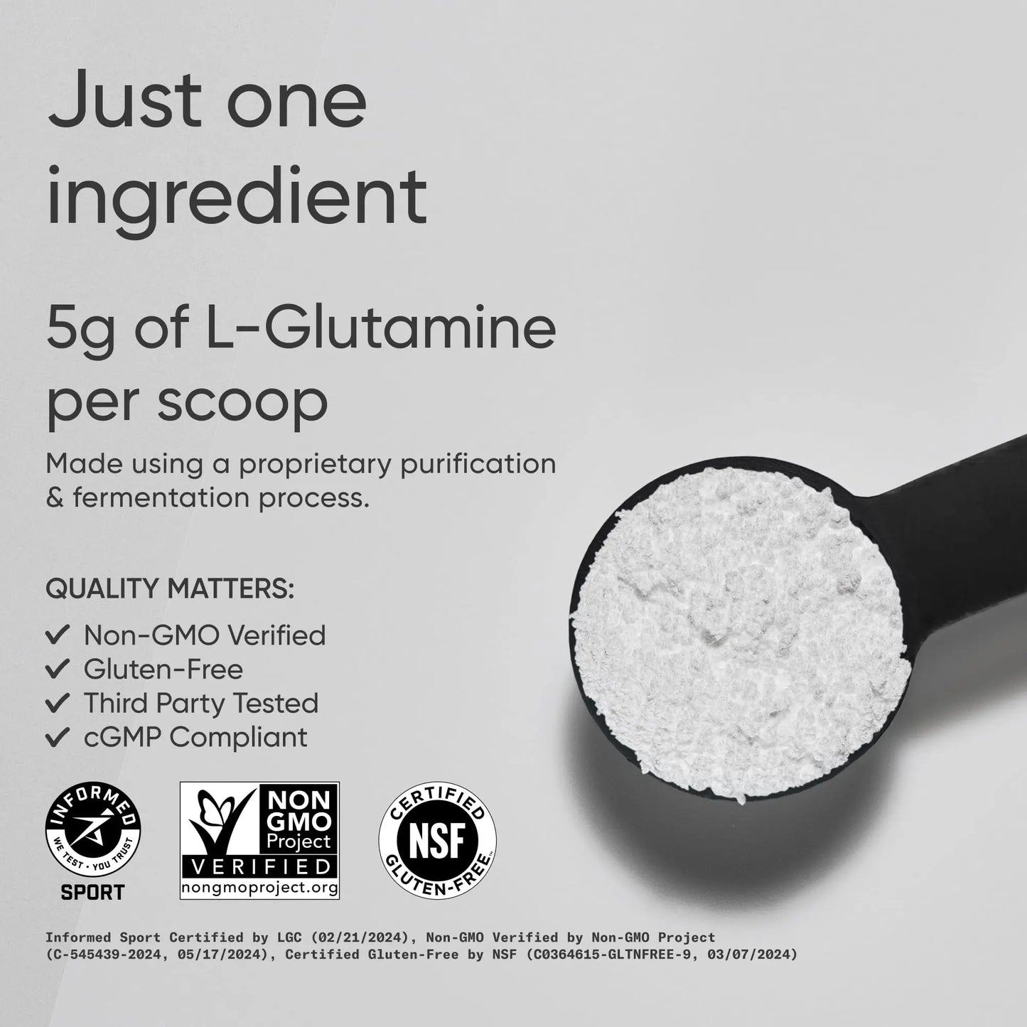 Sports Research L-Glutamine - Workout Recovery, Immune Health & Gut Health Support - 5 G Per Serving - 10.58 Oz Sports Research
