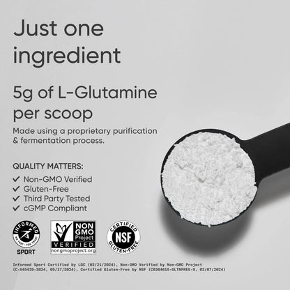 Sports Research L-Glutamine - Workout Recovery, Immune Health & Gut Health Support - 5 G Per Serving - 10.58 Oz Sports Research