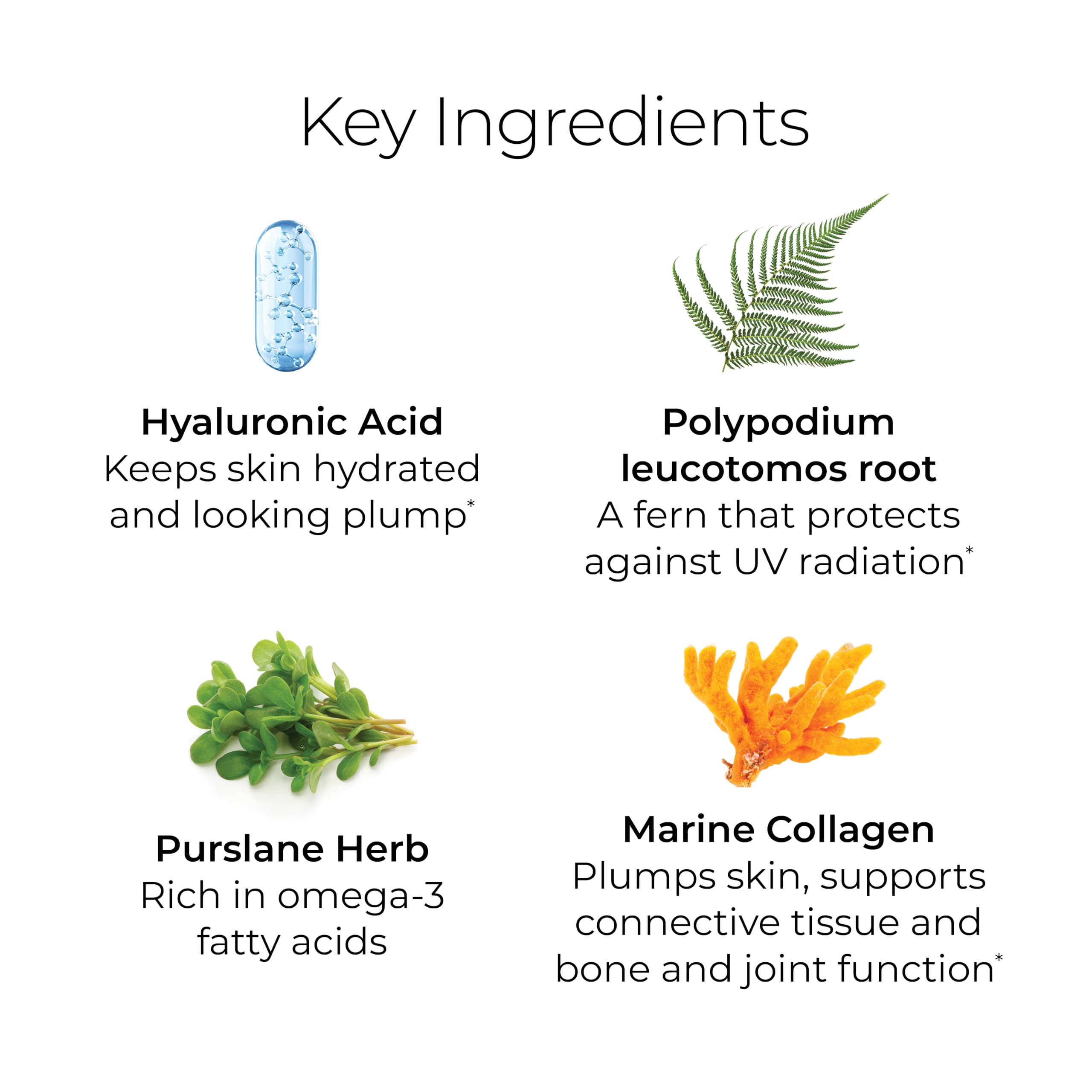 Hush & Hush TimeCapsule Multivitamin, Women's Multivitamin, Men's Multivitamin, Clean Nutraceuticals Supplements That Contains Hyaluronic Acid Hush & Hush buy australia supplements
