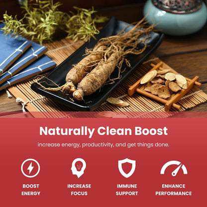 NutraChamps Korean Red Panax Ginseng Capsules | Extra Strength Ginsenosides for Energy, Focus, Performance, Vitality & Immune Support NutraChamps