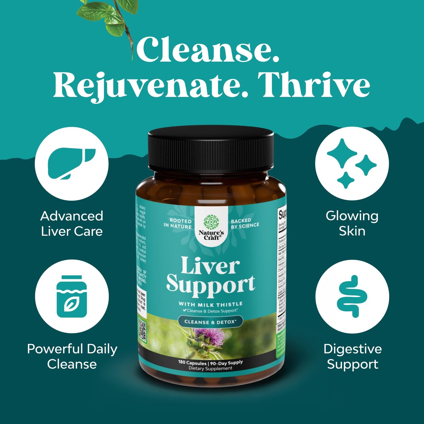 Best Liver Supplements with Milk Thistle - Artichoke - Dandelion Root Support Healthy Liver Function for Men and Women Natural Detox Cleanse Capsules Boost Immune System Relief - Natures Craft | Herbal Detox Support with Ginger, Beetroot & Artichoke - Ber Gsupps Australia