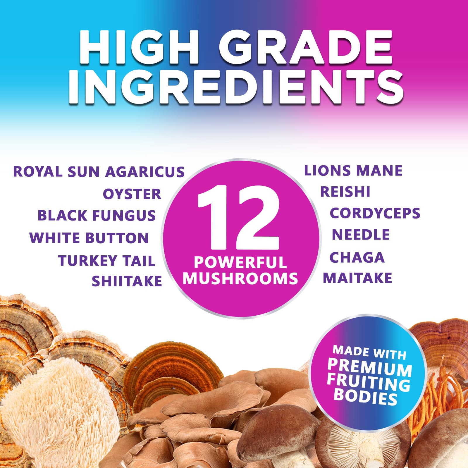 Mushroom Gummies Supplement 12 in 1 - High Grade Blend for Adults with Lions Mane, Reishi, Cordyceps, & Chaga Mushroom Complex Gummy, Memory & Immune Support & Nootropic Brain Supplements - 60 Gummies Nature's Nutrition buy australia supplements