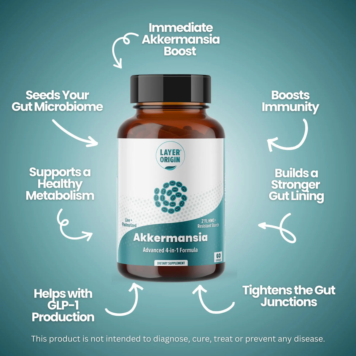 Layer Origin Akkermansia muciniphila Probiotic, with Both Live + Pasteurized Akkermansia and PureHMO Prebiotic, Validated Strain, Updated 4-in-1 Formula Layer Origin