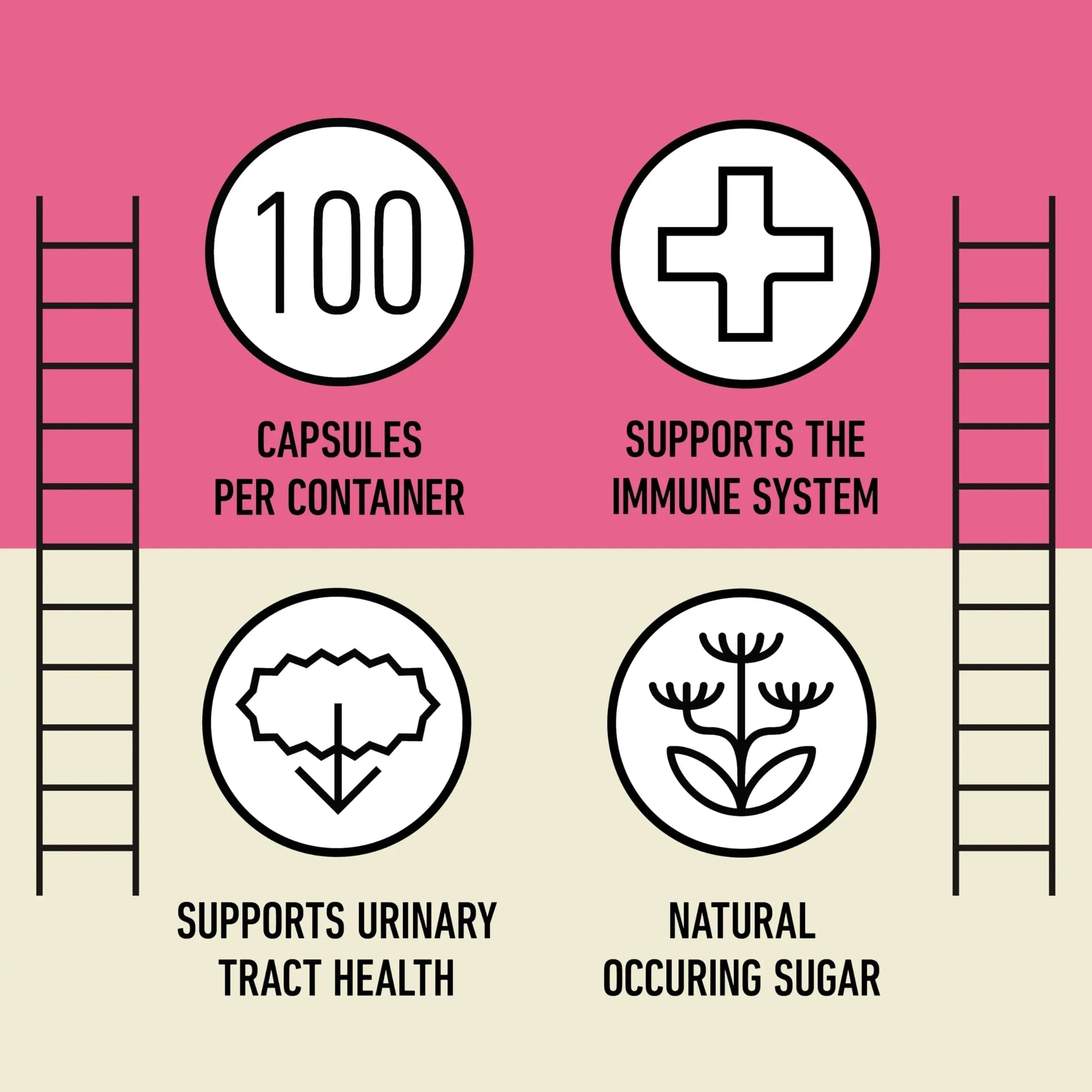 D Mannose 520mg Capsules - Organic D Mannose Supplement for UT Support, Urinary Tract Bladder Health Pills, Plant Based Formula, Vegan Non GMO, No Fillers, 500 Capsule Count Made USA Certified Kosher Complete Natural Products buy australia supplements