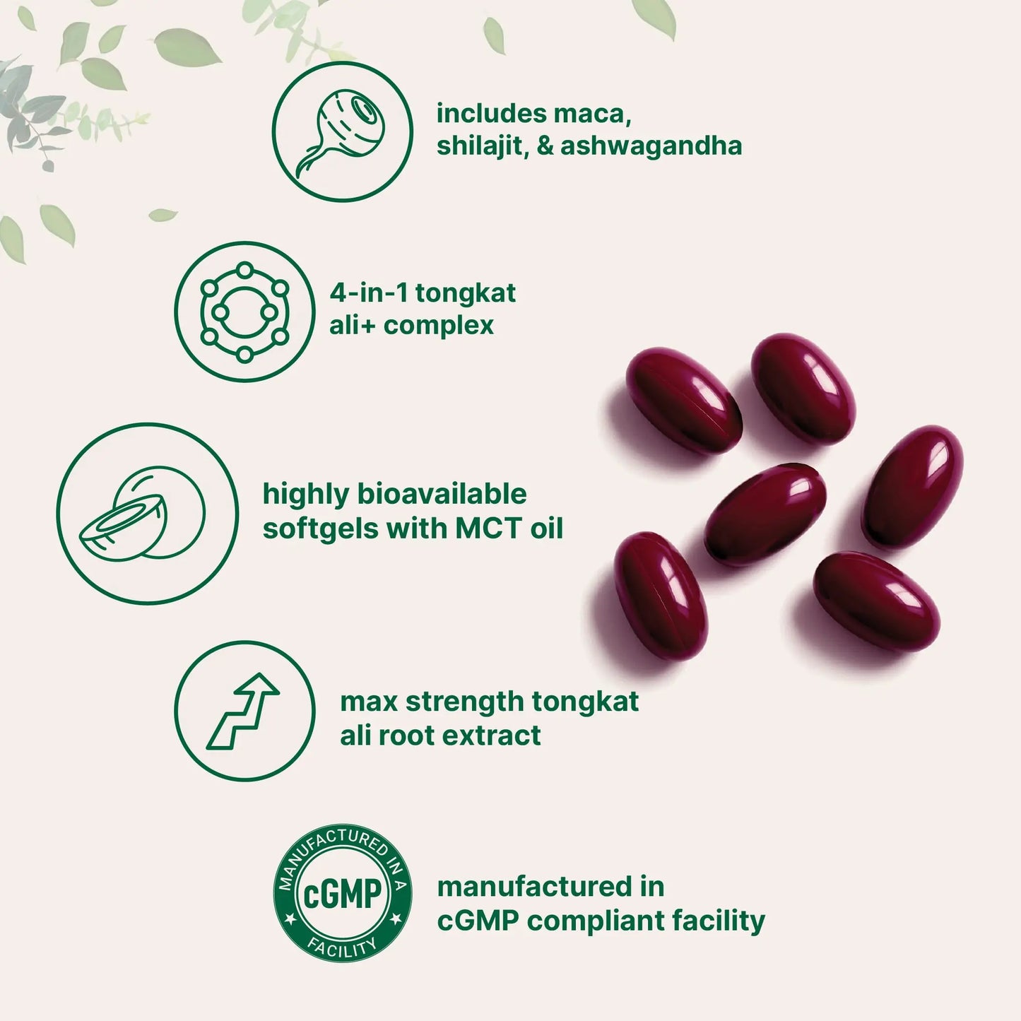 Tongkat Ali+ for Men with Maca, Shilajit, & Ashwagandha | 240 Softgels with MCT Oil for Better Absorption | Max Strength Eurycoma Longifolia Extract (Longjack) | Non-GMO, Gluten Free Micro Ingredients