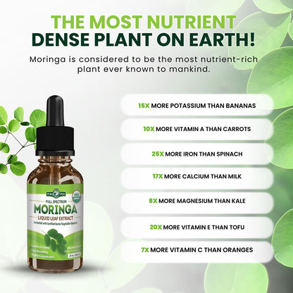 PURA VIDA MORINGA Leaf Extract Liquid Drops - USDA Organic Certified - Highly Purified, Bioavailable & Faster Absorption than Moringa Powder or Capsules PURA VIDA MORINGA