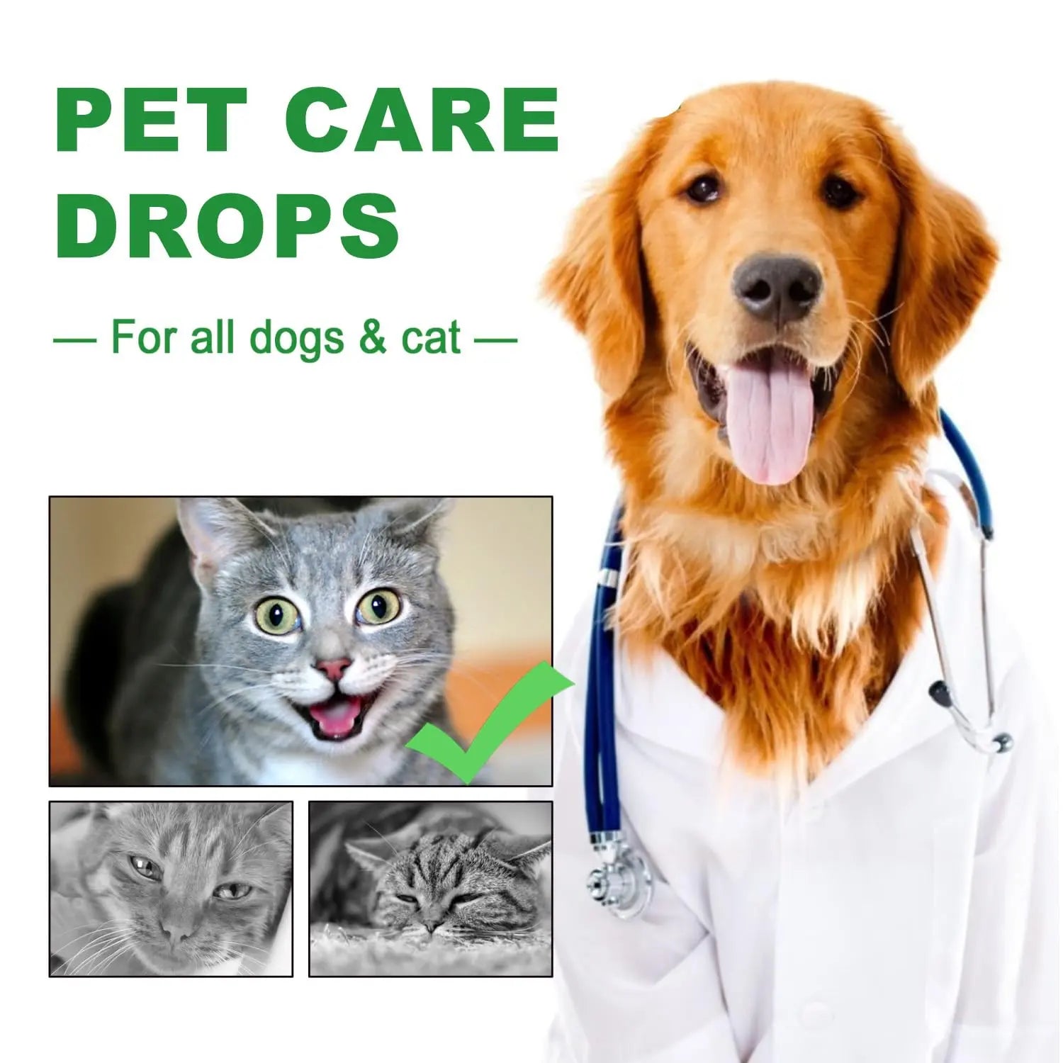 Urinary Tract for Cats, Cat & Dog Urinary Tract Drops Infection Remedy with Cranberry Dog Supplements, Cranberry Kidney Bladder Support Supplement - 60ml / 2 Fl.oz JoanofArc buy australia supplements