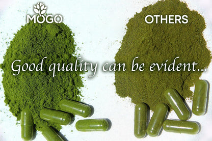 MOGO Moringa Capsules -180 Ct| Boost Energy, Immune, Gut, Joint Support | Made with Pure Organic Moringa Powder Organic Capsules | Made in USA MOGO