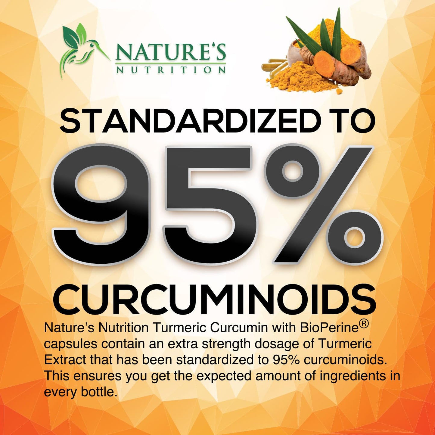 Turmeric Curcumin Supplement - 2400mg Organic Turmeric Per Serving - 95% Curcuminoids & BioPerine Black Pepper Extract for Best Absorption - Natural Vegan Joint Support Nature's Nutrition