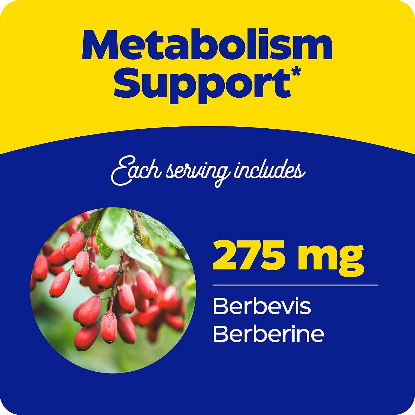 Enzymedica Berberine Phytosome High Absorption Supplement - Berbevis Berberine Phytosome Capsules for Men & Women, Bioavailable Formula, Natural Metabolic Health Support, Vegan, Gluten Free - 60 Caps Gsupps Australia