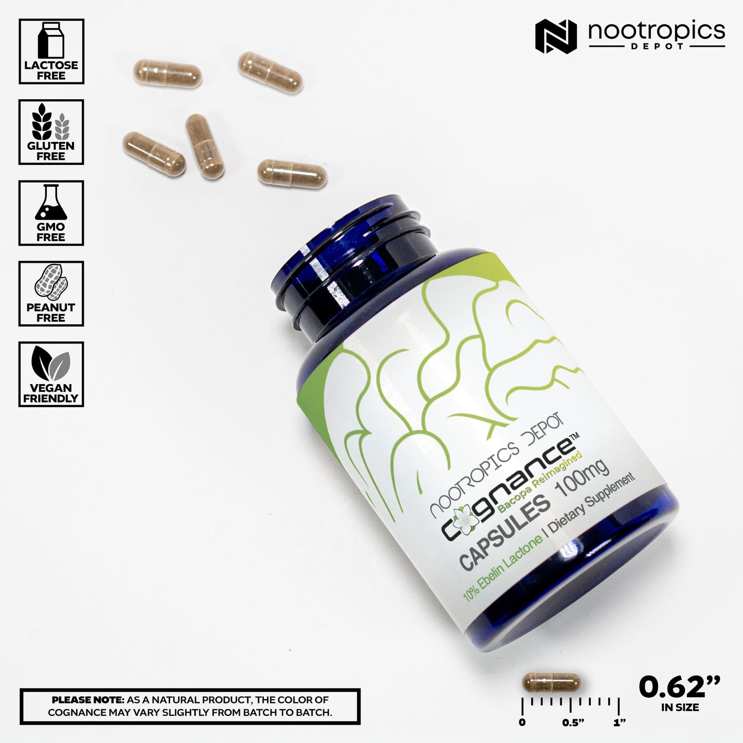 Nootropics Depot Cognance Enhanced Bacopa Capsules | 100mg | 10% Ebelin Lactone | Bacopa monnieri | Mood, Memory, & 5-HT2A Activation, 60 Count (Pack of 1)
