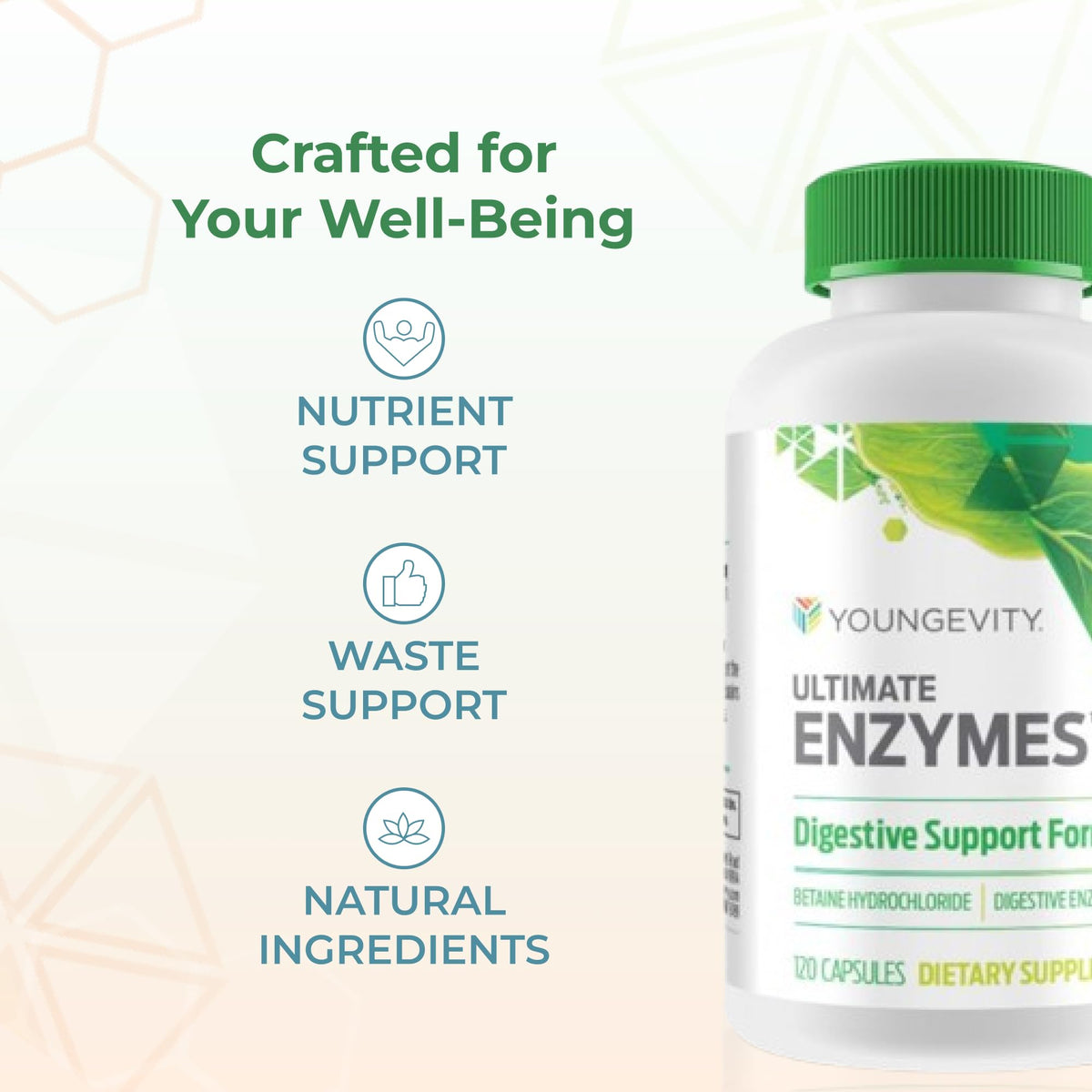 Youngevity Ultimate Enzymes® - Multi Enzymes for Digestion, Gas & Bloating Relief - Betaine HCl, Ox Bile, Pancreatine 10X, Papain 6M, Pepsin 1:3000 (120 Capsules) Youngevity