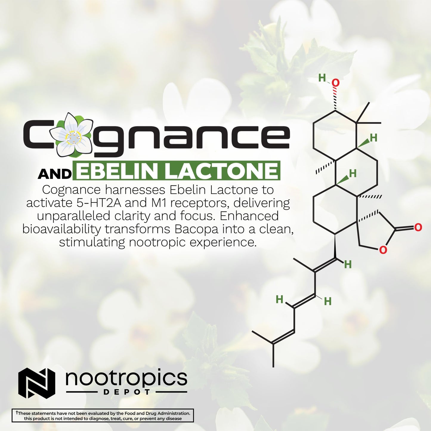 Nootropics Depot Cognance Enhanced Bacopa Capsules | 100mg | 10% Ebelin Lactone | Bacopa monnieri | Mood, Memory, & 5-HT2A Activation, 60 Count (Pack of 1)