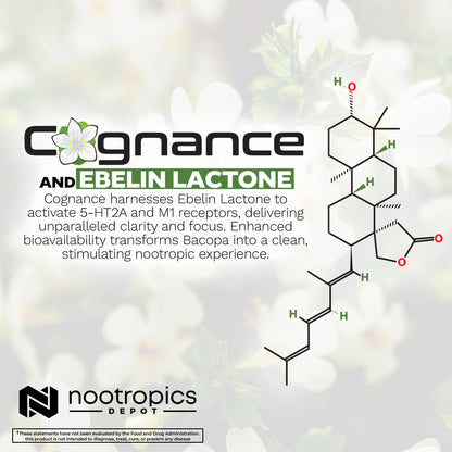 Nootropics Depot Cognance Enhanced Bacopa Capsules | 100mg | 10% Ebelin Lactone | Bacopa monnieri | Mood, Memory, & 5-HT2A Activation, 60 Count (Pack of 1)