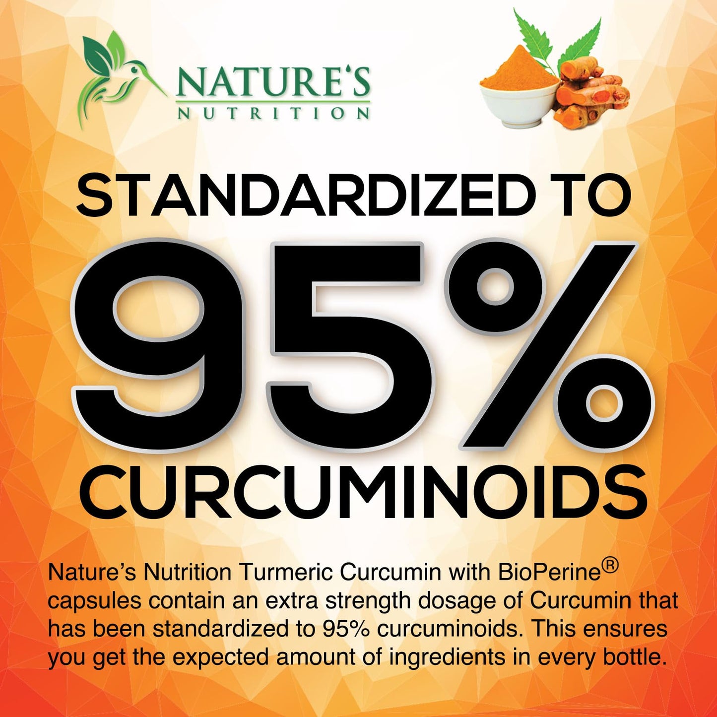 Turmeric Curcumin Supplement - 95% Curcuminoids with Organic Turmeric & BioPerine Black Pepper for Best Absorption - Daily Joint & Immune Health Support Nature's Nutrition