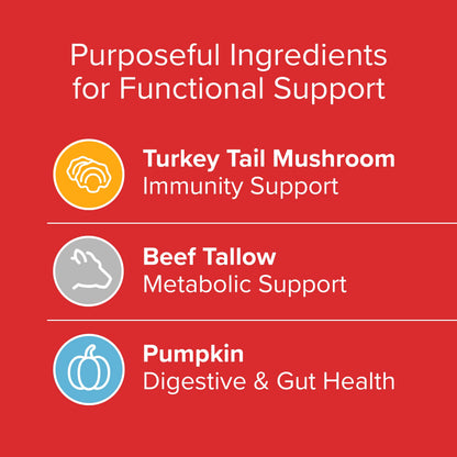 PLATO Pet Treats Air-Dried Wellness Chews for Dogs – Functional Dog Chews – Supports Immunity & Gut Health – Turkey Tail Mushroom, Pumpkin & Beef Tallow Recipe 8oz Gsupps Australia