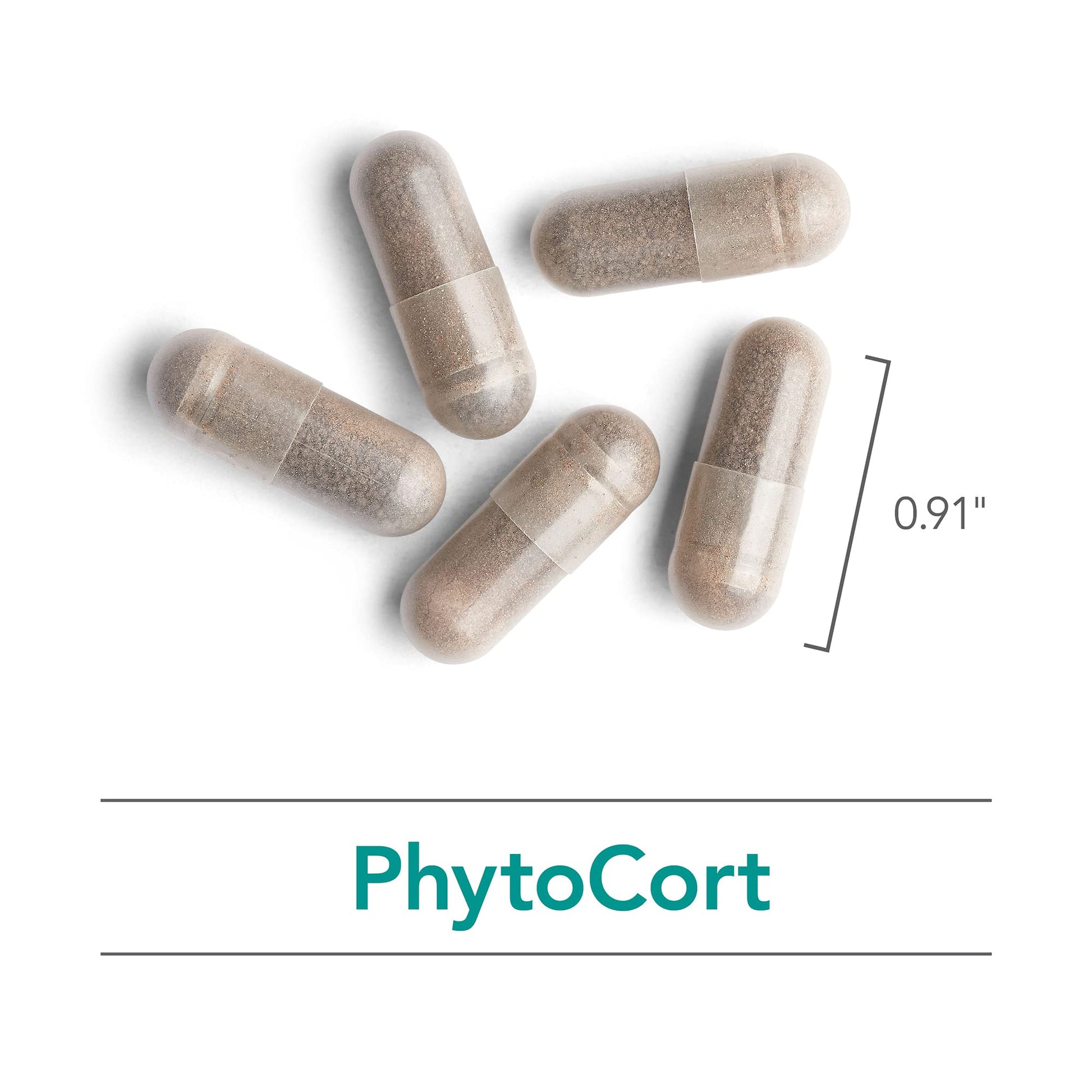 Nutricology PhytoCort Supplement - Respiratory Support, Lung Health, Lung Detox, Lung Cleanse, Healthy Breathing, Herbal Support, Reishi, Licorice, Noni, Vegetarian Capsules - 120 Count Nutricology buy australia supplements