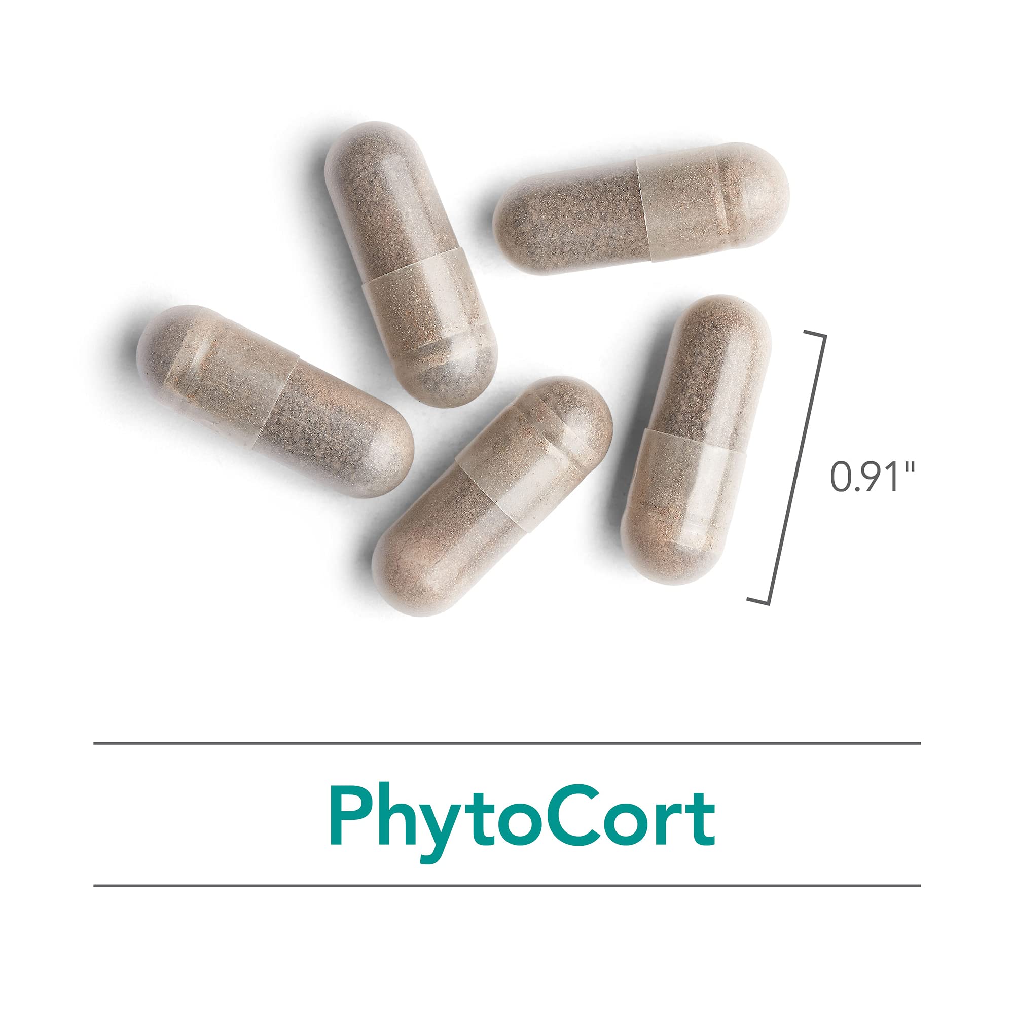 Nutricology PhytoCort Supplement - Respiratory Support, Lung Health, Lung Detox, Lung Cleanse, Healthy Breathing, Herbal Support, Reishi, Licorice, Noni, Vegetarian Capsules - 120 Count Nutricology buy australia supplements