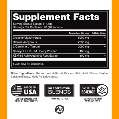 Outwork Nutrition Post Workout Recovery Powder - Creatine Monohydrate, KSM-66 Ashwagandha & Tart Cherry - Speeds Recovery, Eases Soreness - Creatine Powder for Men & Women, Orange Sherbet, 230 Gr