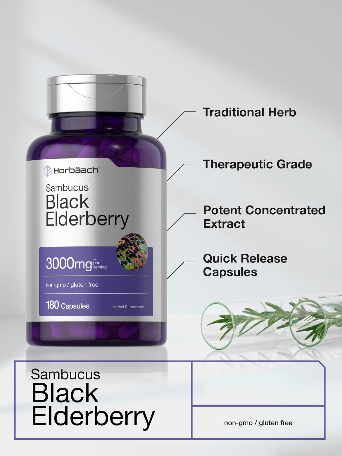 Horbäach Black Elderberry | 180 Count | Non-GMO, Gluten Free | Sambucus Extract Supplement Horbäach