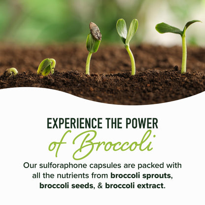 50MG Sulforaphane Supplement from Broccoli Sprouts | NRF2 Activation, Cellular Health & Immune Support | Glucoraphanin, Myrosinase & Antioxidants | Third-Party Tested SMNutrition
