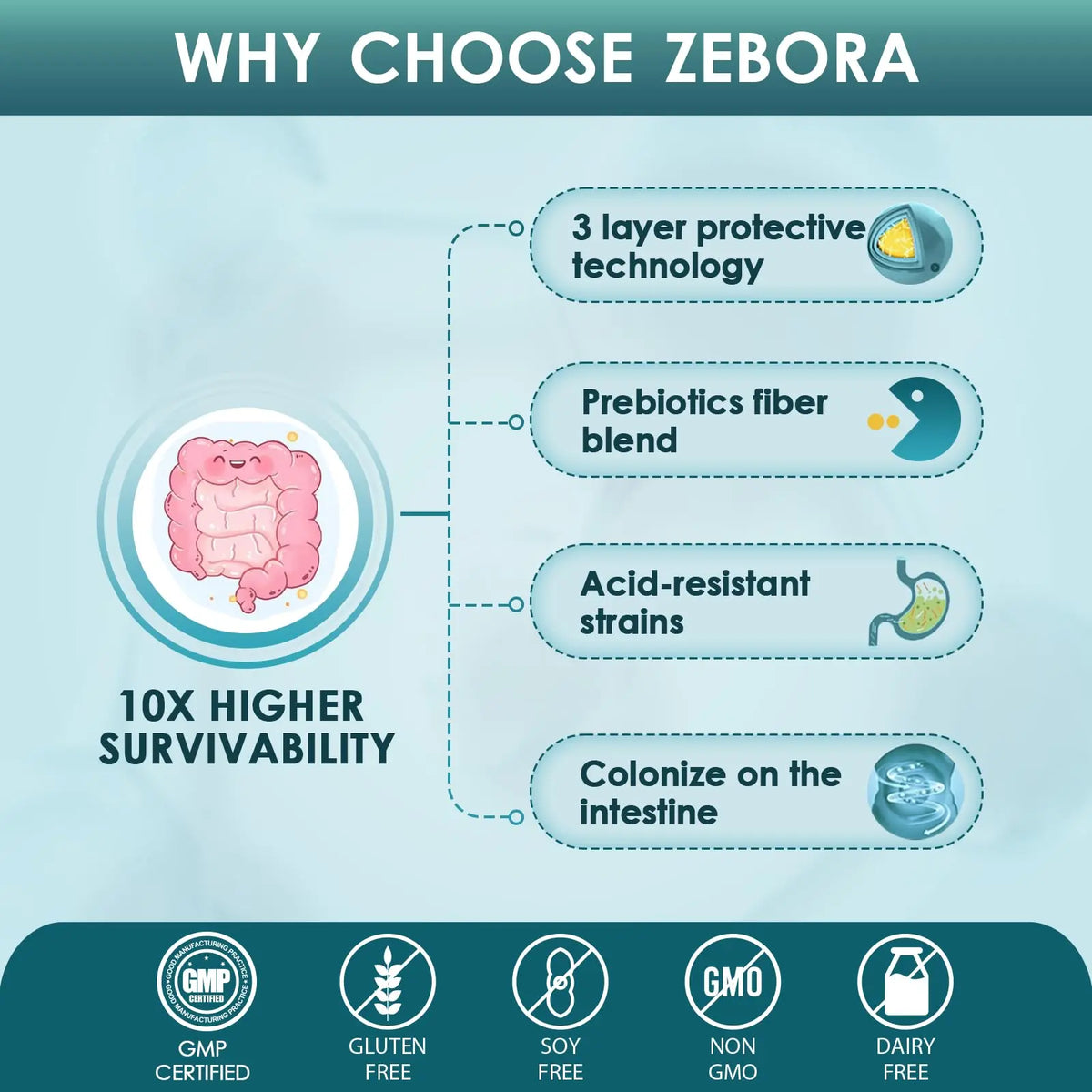ZEBORA Probiotics for Men and Prebiotics for Digestive Health, 90 Tablets, 60 Billion CFUs for Immune and Gut Health, 10 Strains, Hypoallergenic Probiotics, ZEBORA