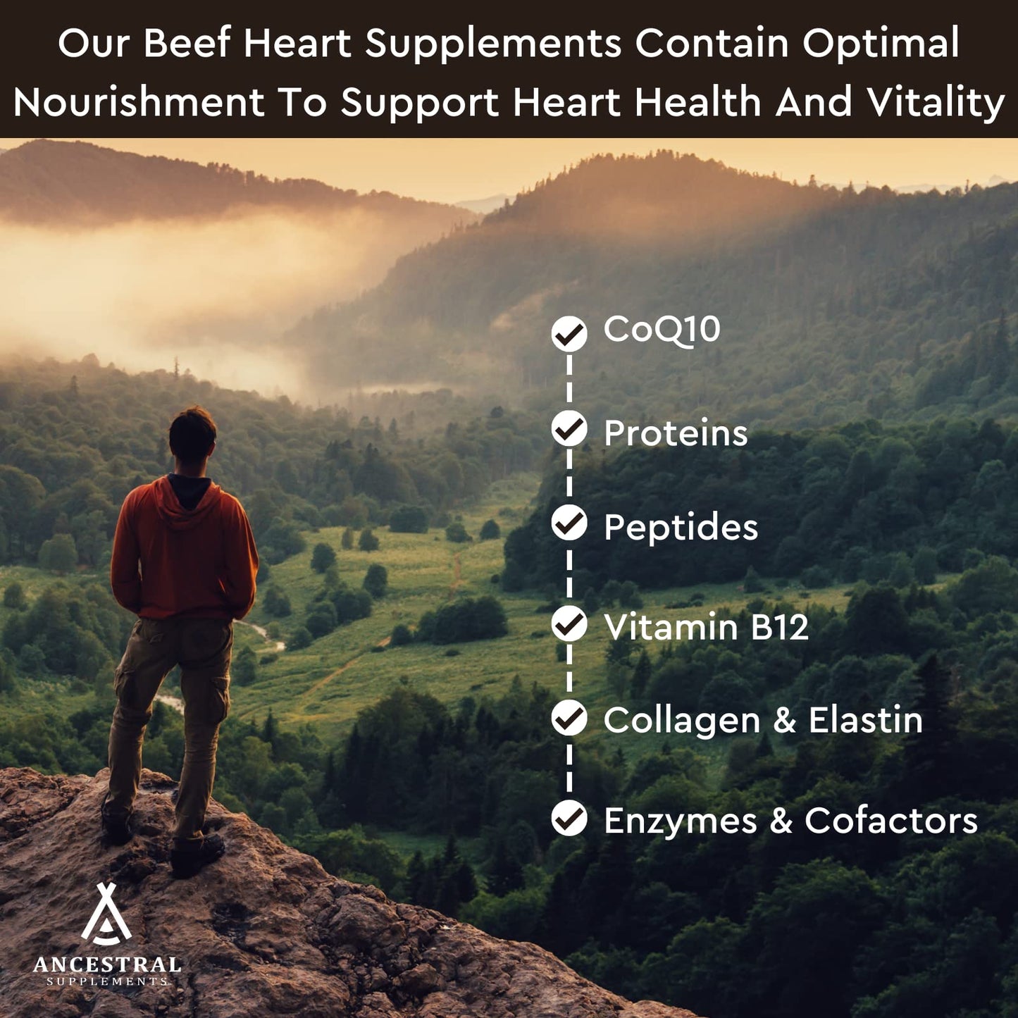 Ancestral Supplements Grass Fed Beef Heart Supplement, 3300mg, CoQ10 Supplement Supports Heart and Mitochondrial Health, Non-GMO, 180 Capsules