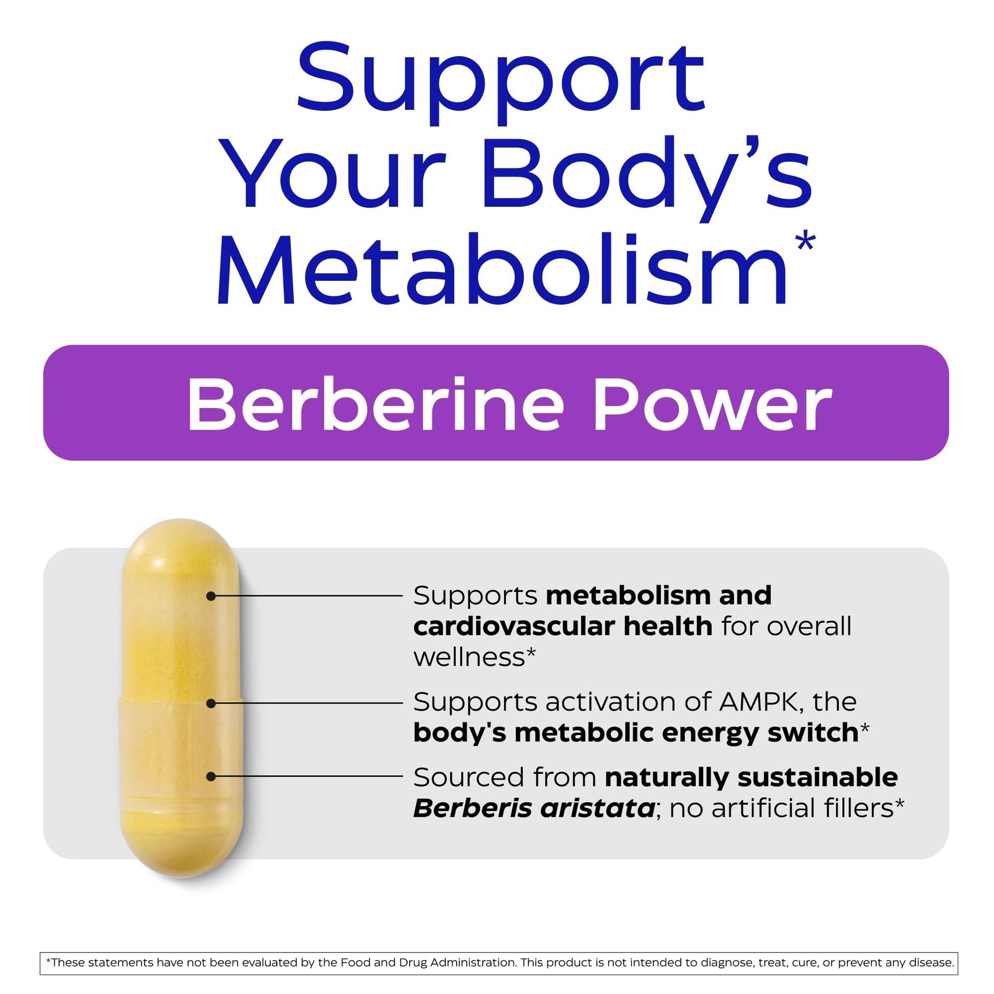 Enzymedica Berberine HCl Supplement 510 mg - Berberine Capsules for Men & Women, Natural Metabolic Health Support, Vegan, Gluten Free, Non-GMO - 120 Targeted Release Caps Gsupps Australia