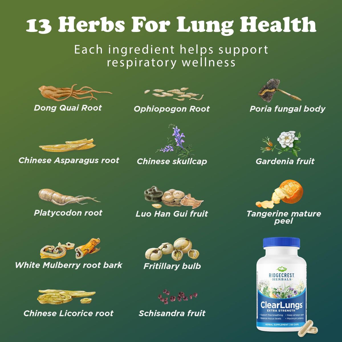 RidgeCrest Herbals ClearLungs Extra Strength, Daily Health Supplement, Natural Lung and Nasal Wellness Formula RidgeCrest Herbals