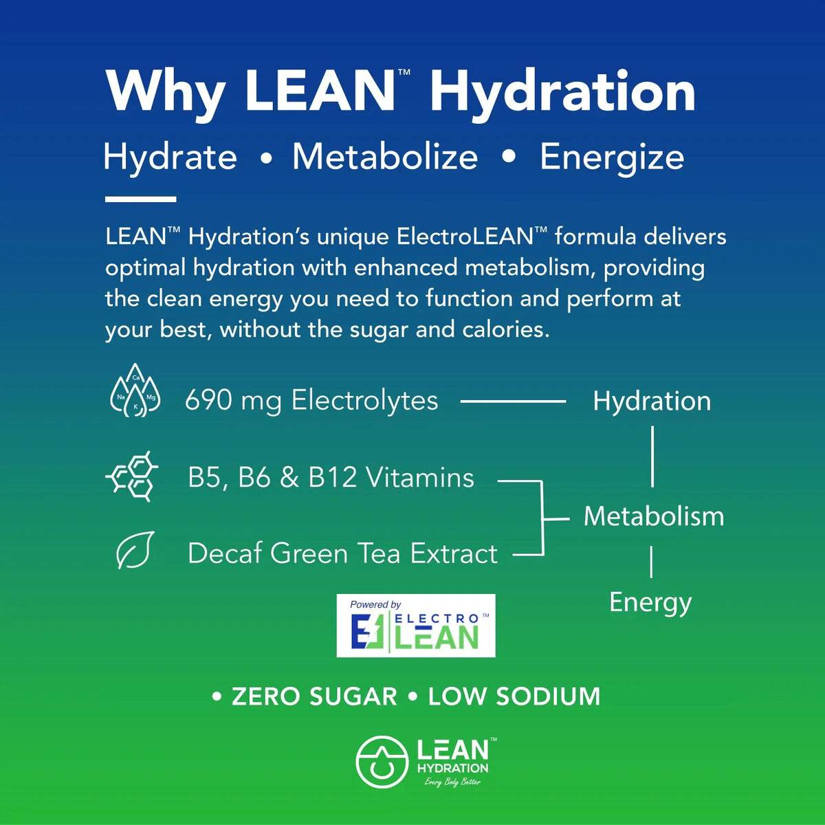 LEAN Hydration Daily Electrolyte Packets Drink Mix | Zero Calories, Zero Sugar Plus Vitamins, Minerals & More | 16 ct (Strawberry Kiwi Melon) LEAN Hydration