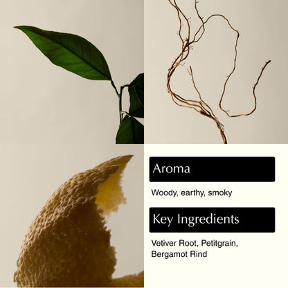Aesop Reverence Aromatique Exfoliating Hand Wash | Exfoliating Hand Soap with Finely Milled Pumice | Gentle Cleansing & Skin-Smoothing Formula with Vetiver, Petitgrain & Bergamot | 500mL / 16.9 oz Aesop