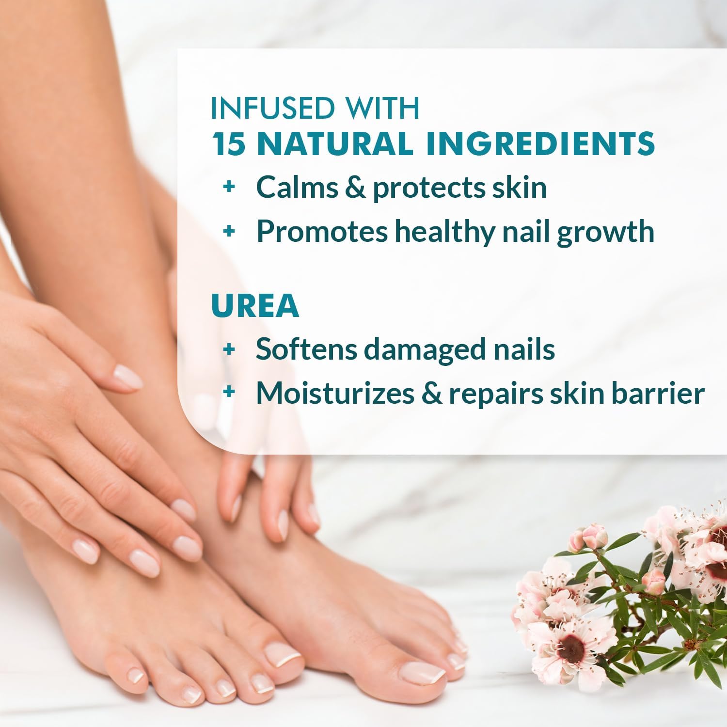 Ebanel Antifungal Cream Miconazole Athletes Foot Treatment, Cures Fungal Infection Leading to Nail Fungus, Jock Itch Cream with Undecylenic Acid, Tea Tree & Manuka Oil, Fast Itch Relief for Ringworm Ebanel buy australia supplements