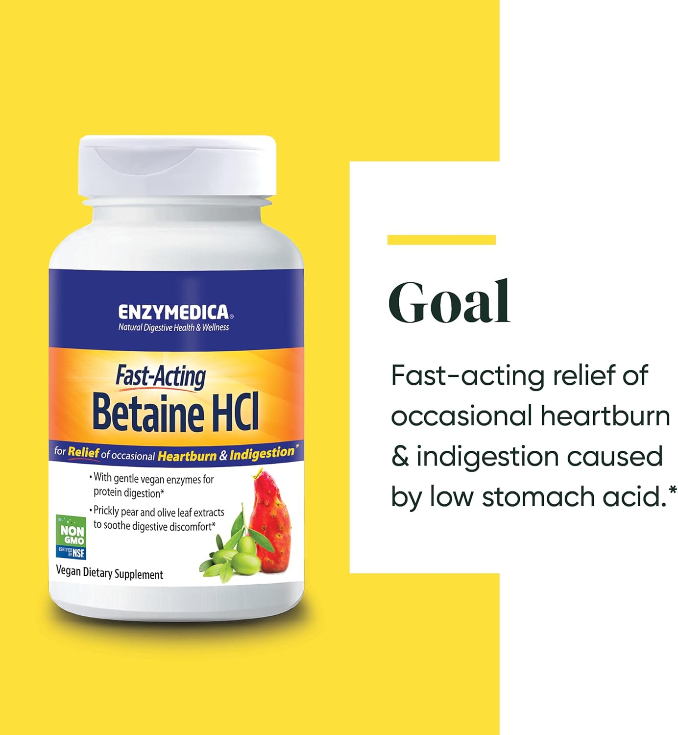 Enzymedica Betaine HCl for Men & Women - Betaine Hydrochloric Acid Supplement, Protease Digestive Enzyme Blend, Digestive Health Support, Occasional Heartburn & Indigestion Support, Vegan - 120 Caps Gsupps Australia