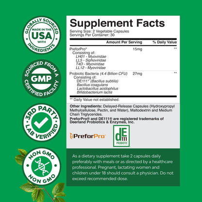 Prebiotics and Probiotics Gut Health Supplement-Super Potent Digestive Health Acidophilus Probiotic Capsules with Men & Womens Probiotics & Prebiotics Natures Craft