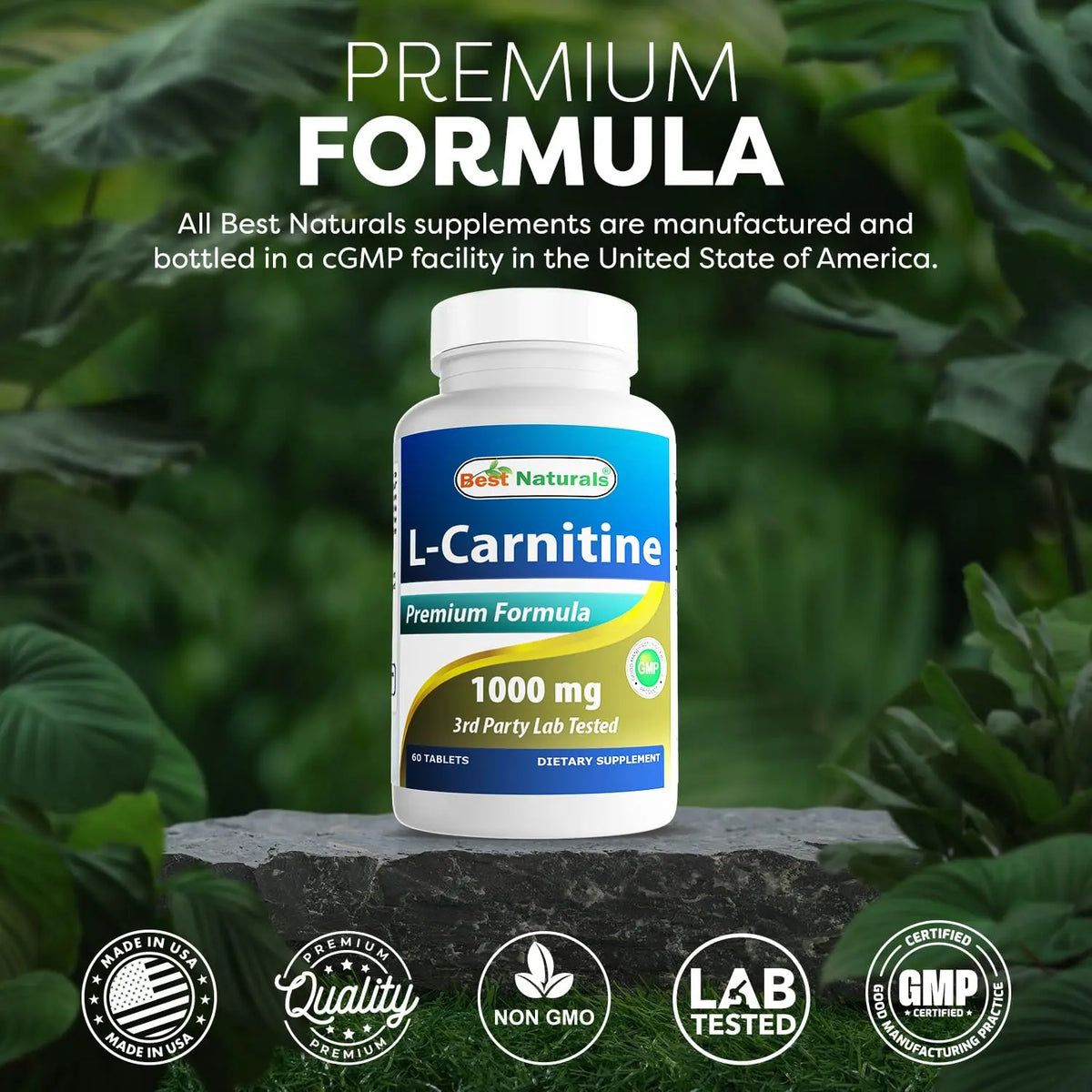 Best Naturals L-Carnitine 1000mg 60 Tablets (60 Count (Pack of 1)) Best Naturals