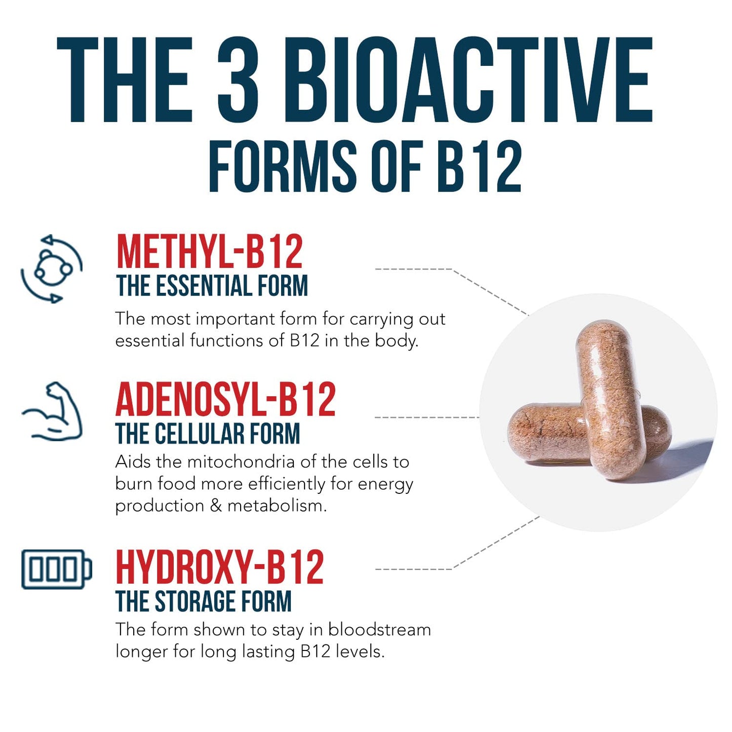 BioActive Vitamin B12 - 5000 mcg, Contains 3 BioActive Forms B12 Plus Methylfolate Cofactor - Methyl B12, Adenosyl B12 & Hydroxy B12 | Supports Energy Triquetra Health