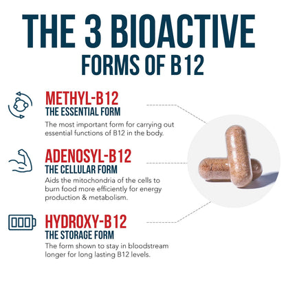 BioActive Vitamin B12 - 5000 mcg, Contains 3 BioActive Forms B12 Plus Methylfolate Cofactor - Methyl B12, Adenosyl B12 & Hydroxy B12 | Supports Energy Triquetra Health