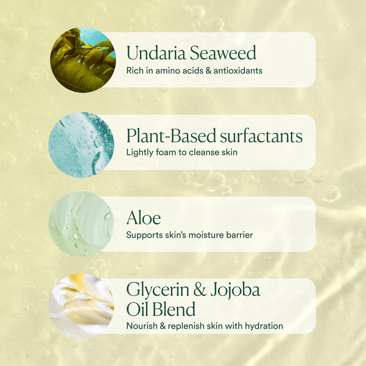 OSEA Undaria Algae™ Body Wash, pH Balanced Cleanser, Citrus Scent, 8 oz OSEA