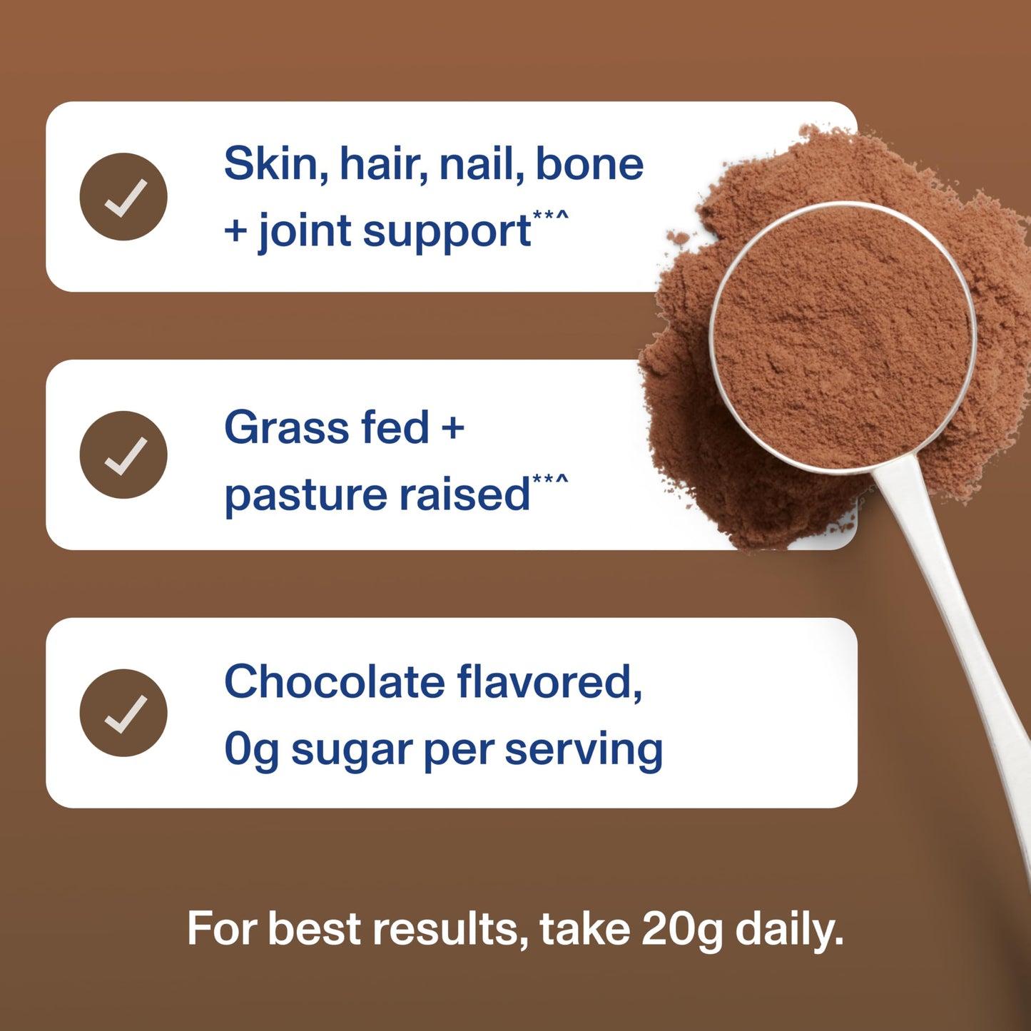 Vital Proteins Collagen Peptides Powder - Chocolate Powder for Hair, Nail, Skin, Bone & Joint Health, 13.5oz Vital Proteins