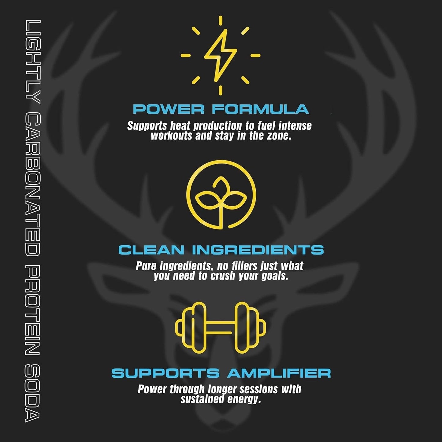 Bucked Up Lightly Carbonated Protein Soda | 25g Whey Isolate - Zero Sugar, Low Calorie, Caffeine Free, Clean Drink | Sparkling Protein Soda - 12 Pack, 16 oz Cans (Banana Pineapple)