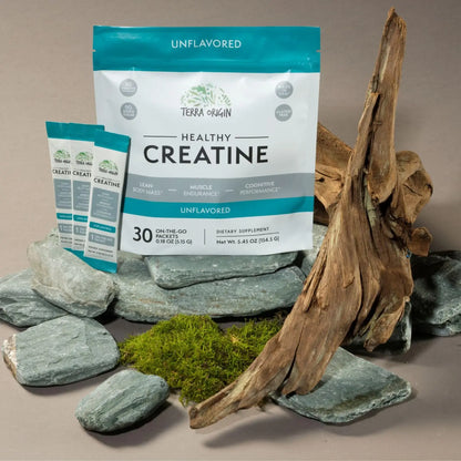 TERRA ORIGIN Healthy Creatine Micronized Monohydrate Powder | 30 Stick Packs | Support for Muscle and Cognitive Performance* | Supplement for Women and Men TERRA ORIGIN