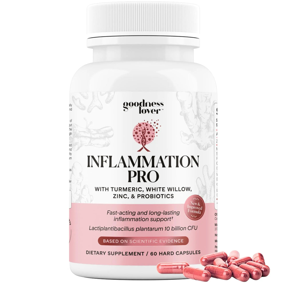 Goodness Lover Inflammation Pro, with 10 Billion CFU for Digestive Support, Curcumin, White Willow bark Extract, Zero fillers, Vegan, 30 Servings Goodness Lover