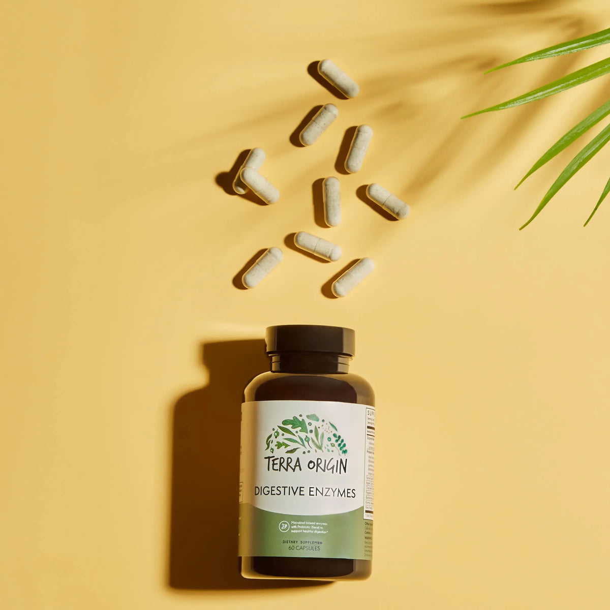 TERRA ORIGIN Digestive Enzymes with Probiotics & Prebiotics | 60 Capsules | Supports Digestive Gut Health | Non GMO, Gluten Free, TERRA ORIGIN