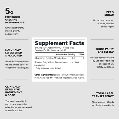LEGION Micronized Creatine Monohydrate Supplement - Clean Creatine Powder for Muscle Gain & Post Workout Recovery - Micronized Creatine Supplement for Maximum Absorption (60 Servings, Unflavored)