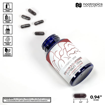 Nootropics Depot Cyanidin 3-Glucoside Capsules | 125mg | 60 Count | Black Rice Extract | C3G | Oryza Sativa | Metabolic, Vision, & Cognitive Support