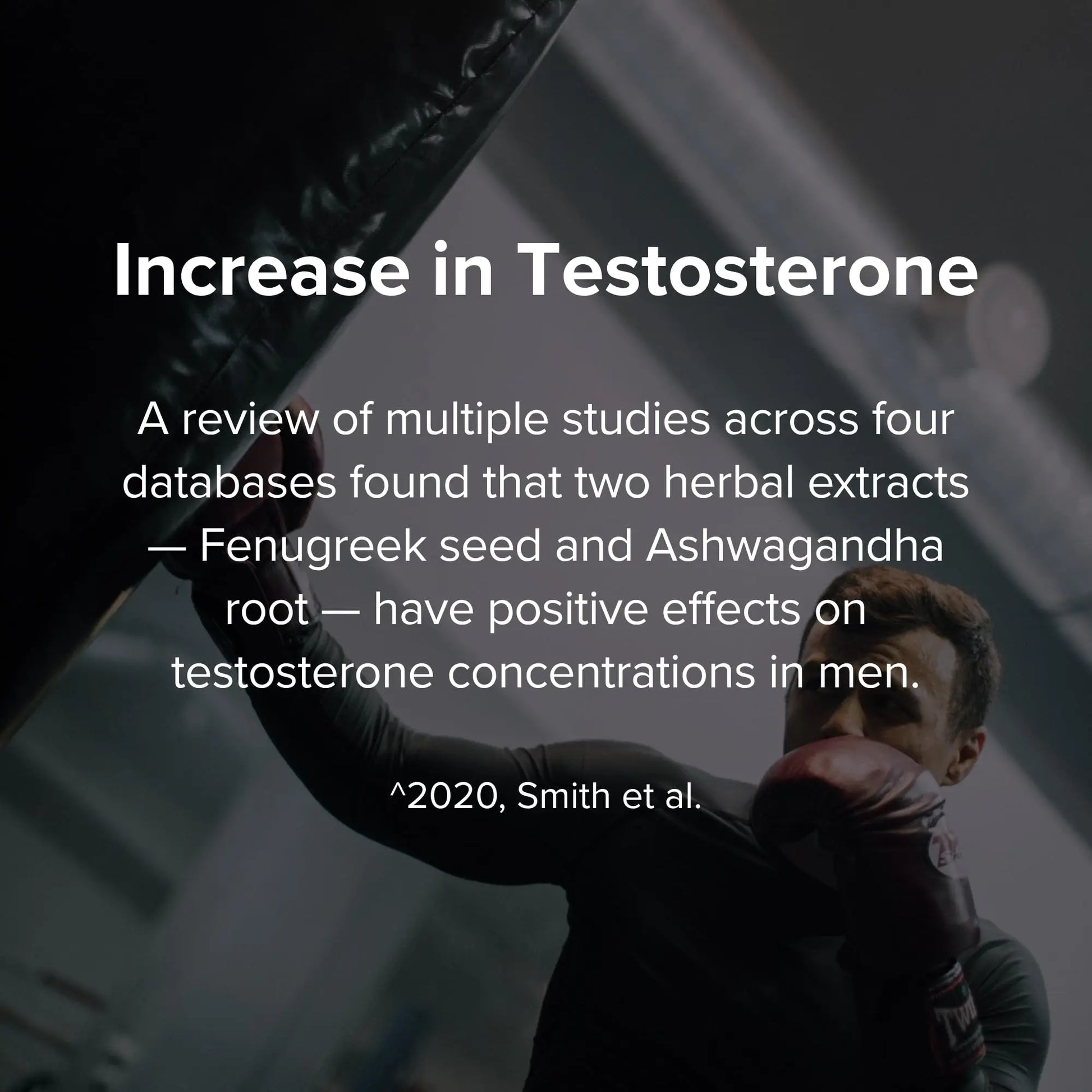 STRIVLABS Peak Potential 12-in-1  Support for Men – Fenugreek, Ashwagandha & Tongkat Ali – Natural Strength STRIVLABS