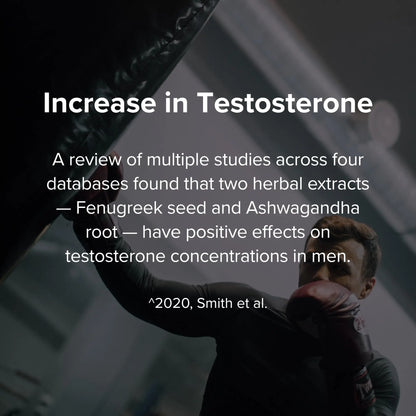 STRIVLABS Peak Potential 12-in-1  Support for Men – Fenugreek, Ashwagandha & Tongkat Ali – Natural Strength STRIVLABS